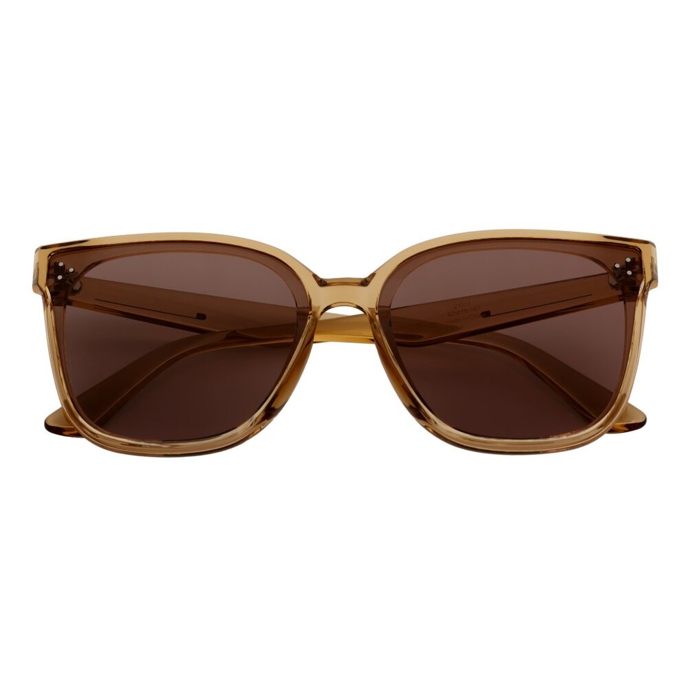 Polarized Womens Oversize 3 Pin Cat Eye Sunglasses Clear Brown Brown Tint
